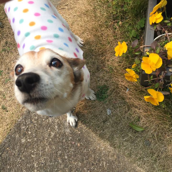 327dc3f3 d15a 42d7 a917 912d62b48509