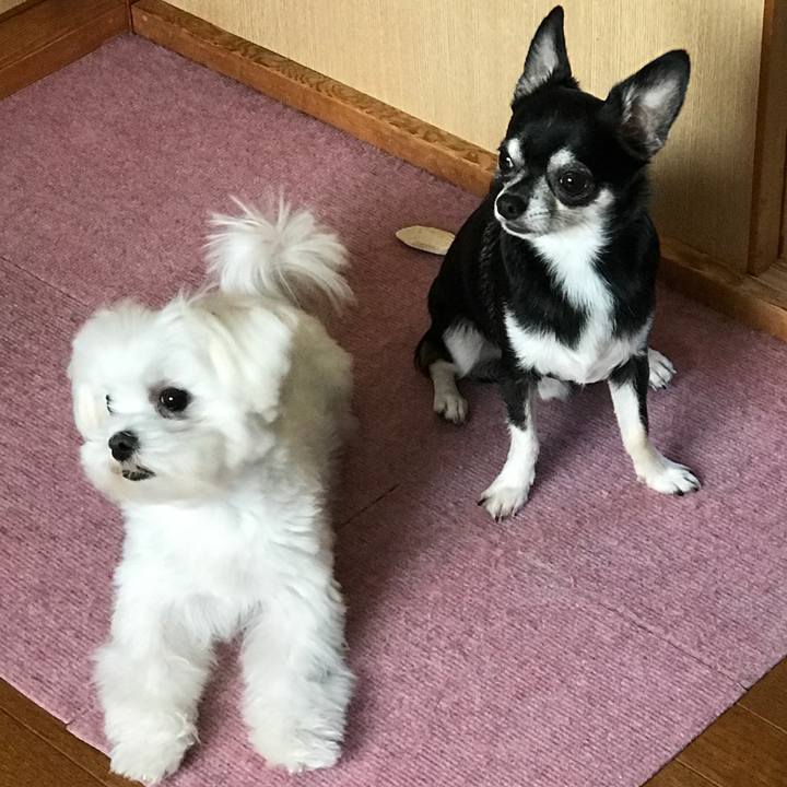 327dd1da b2d3 4ebb 9170 67580edcc52a