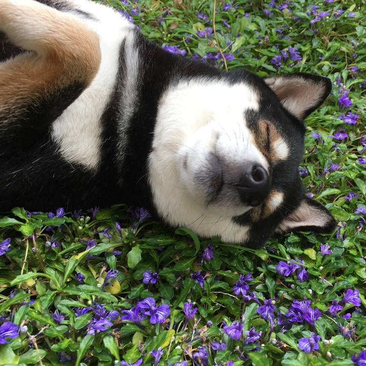 327dd4b1 2f25 45ae 8db1 c211c8f9867a