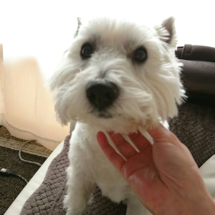 327df749 f537 4005 8b59 d883376fa3c5