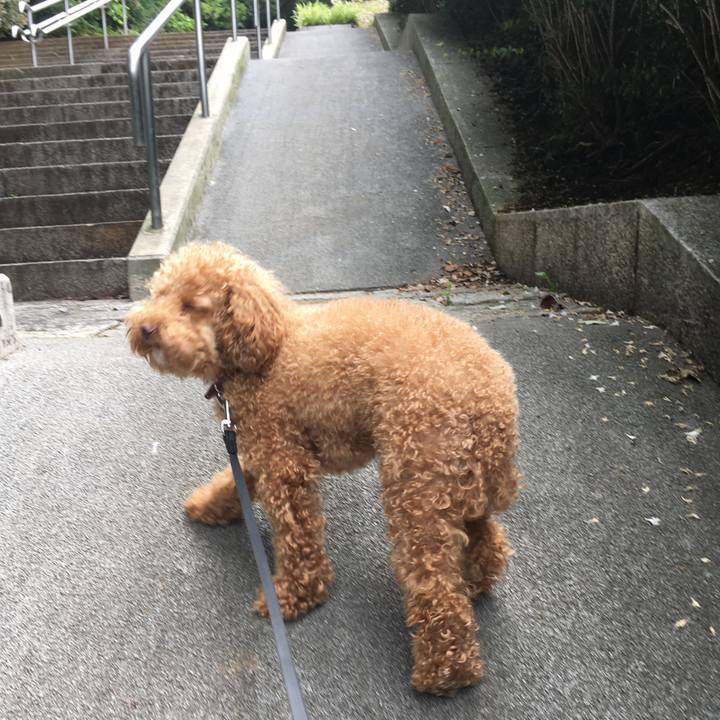 327e0f3b f004 4cb9 a4cb 5d0ece8ec03d