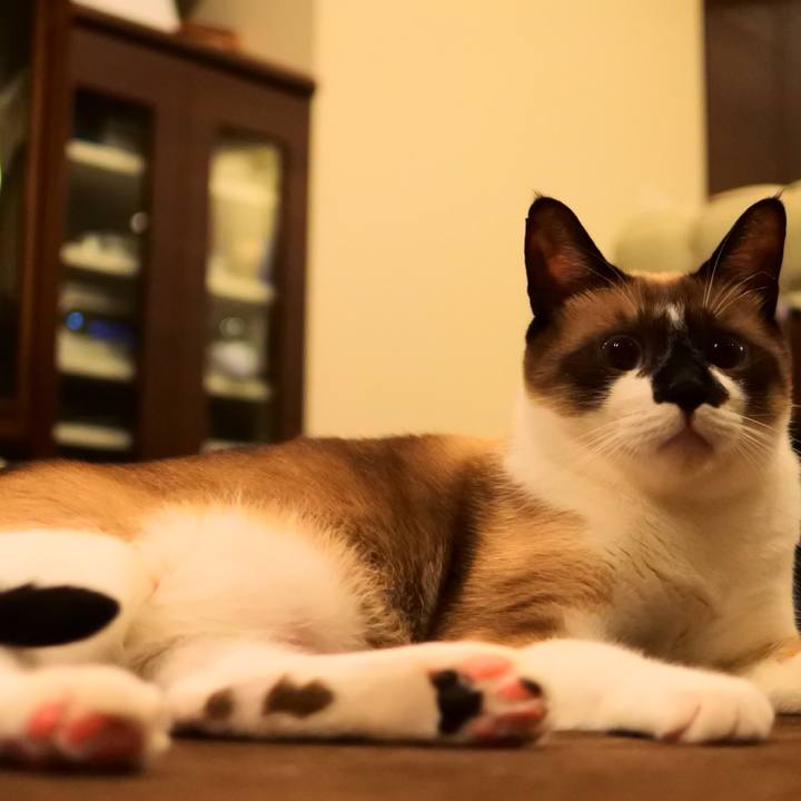 327e152f 0eee 400d 8a59 1778eac89a48