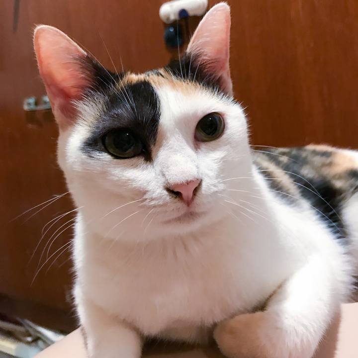 327e47e9 b503 479c bfda cb5e3aa4fd38