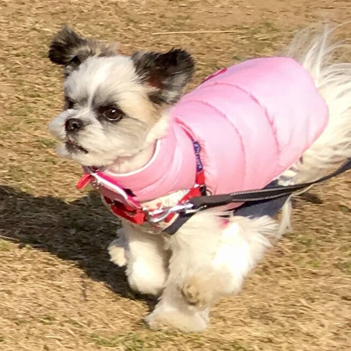 327f083c 77be 4577 b167 a3228d55f43d