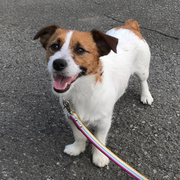 327f863e d306 4674 943d a850380c886b