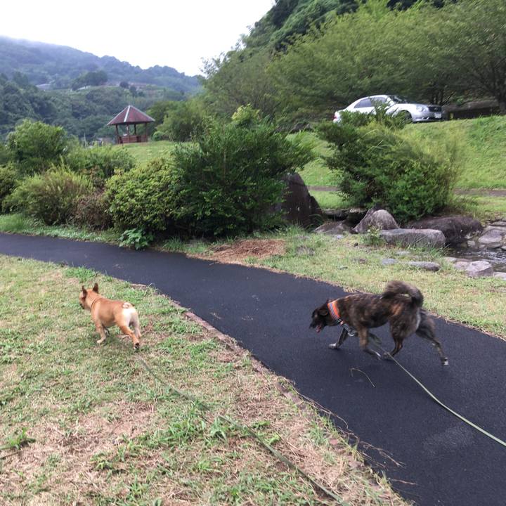 327fea8f 76a7 4abd 9b74 17ae09da775d