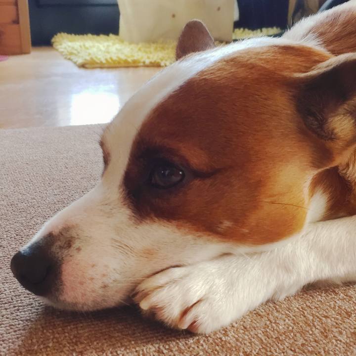 3280a54f 5b3d 45d7 bcbf 54c739fcf80d