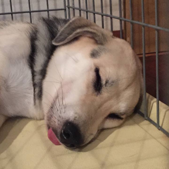 3280c354 9d0f 457c 94e6 a19d2fb84d14