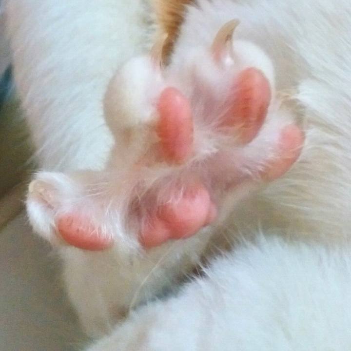 32812c83 61db 49f8 8b9c 40611cd7959d