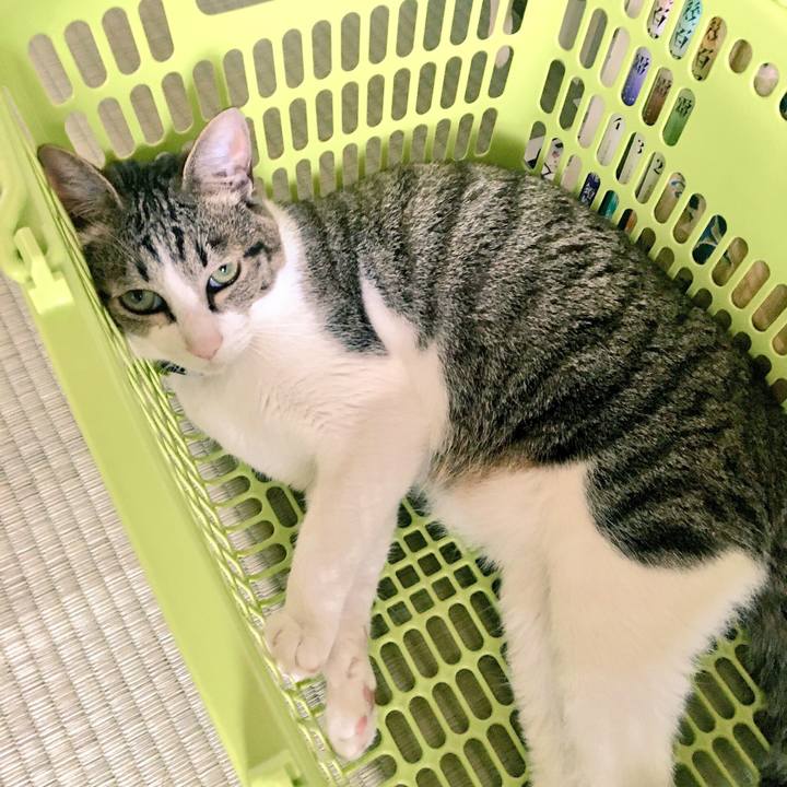 3281a216 4e83 4a64 b7ba 1378d4d76c42