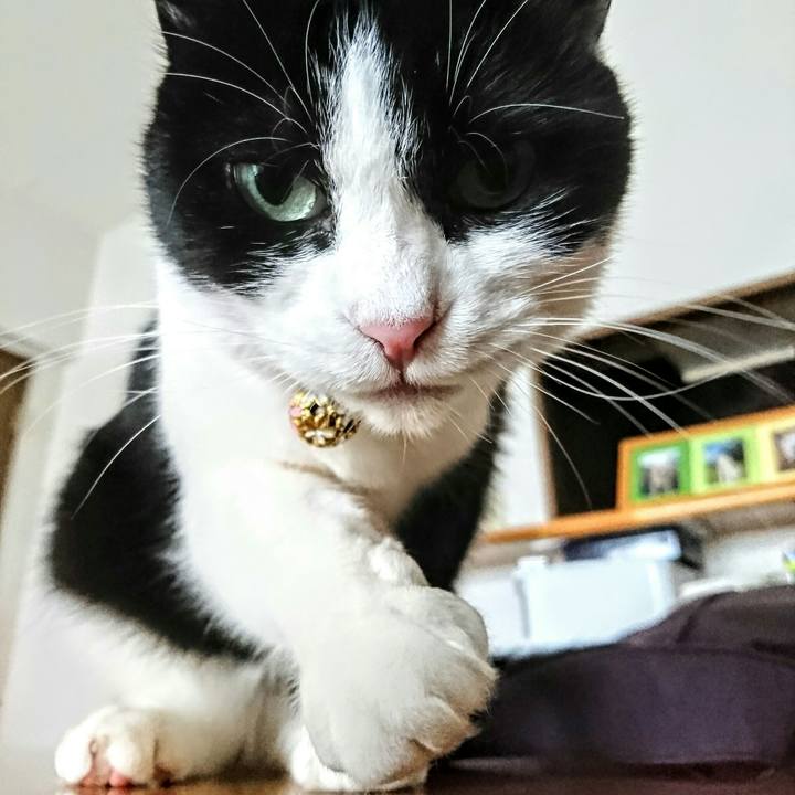 3281a52c 0237 4e0a 8141 c4321a9886ec