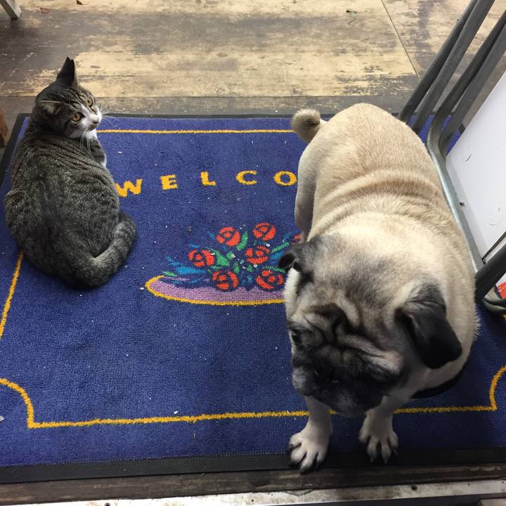 3281e68d 427b 4123 9c23 7df0961c2b4e