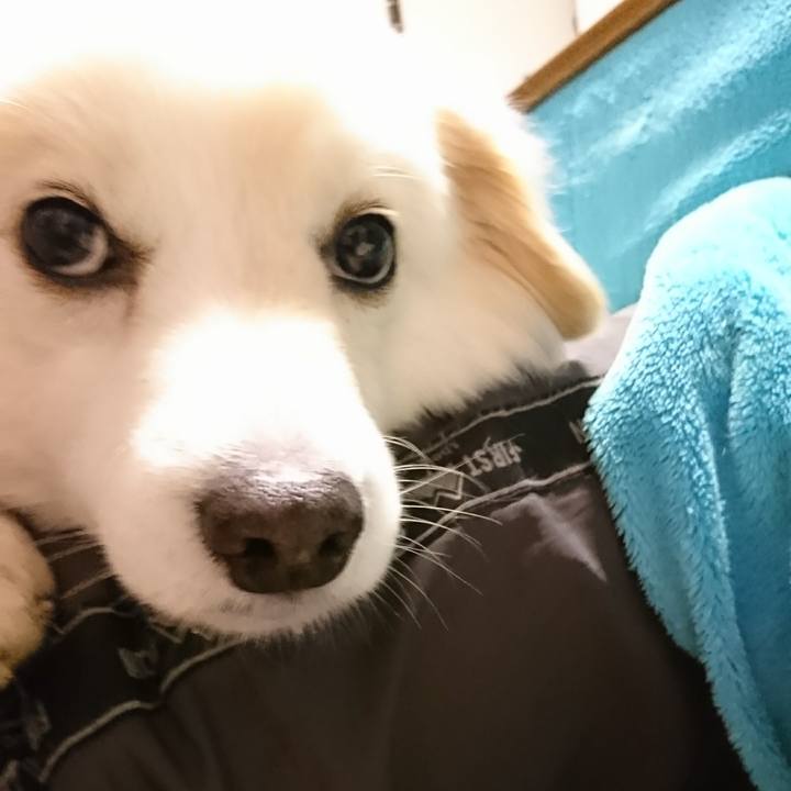 32821194 99f5 4f28 a4cd 2d6d37b9c6d4