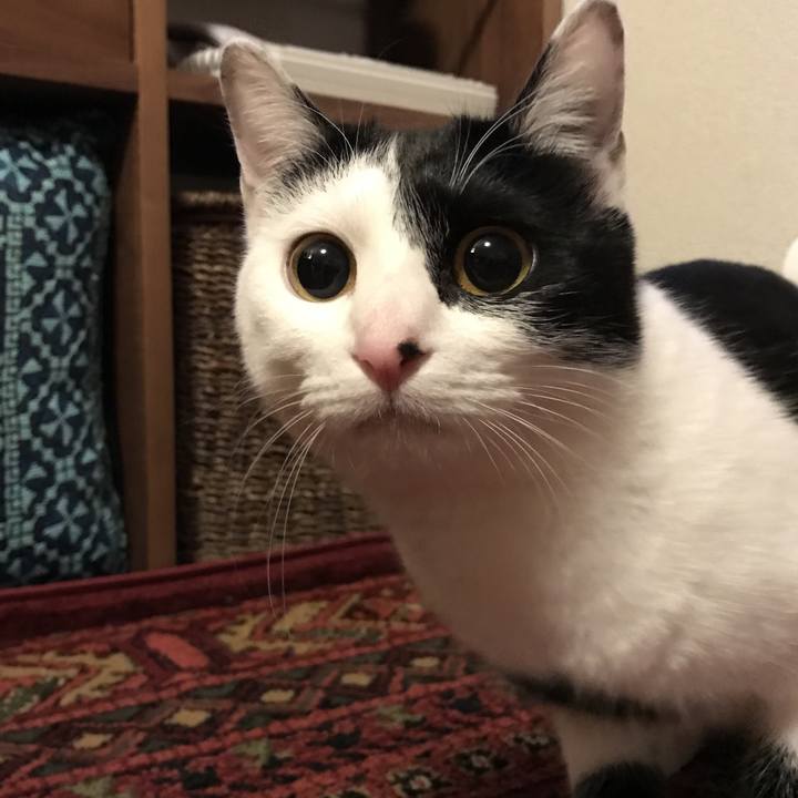 32823398 9052 4d57 8ca5 f08ca3966ed8