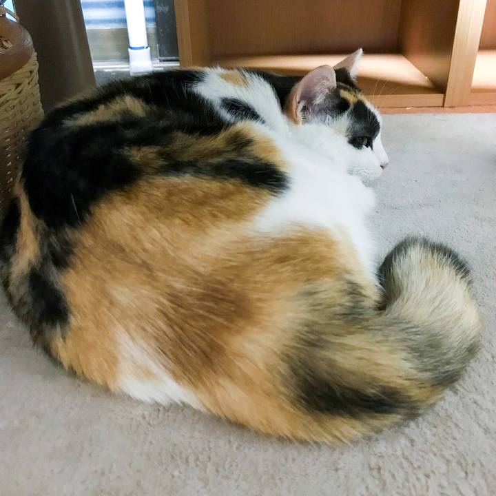 32823d4b 332b 4a30 9b33 8c3b08426498