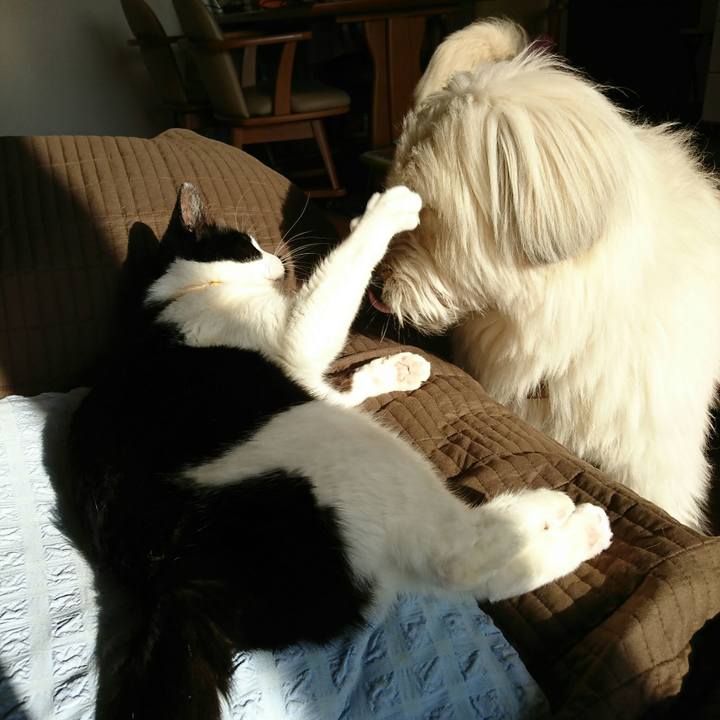 32826cf1 9f49 4e02 93b6 90eabc9aa7fb