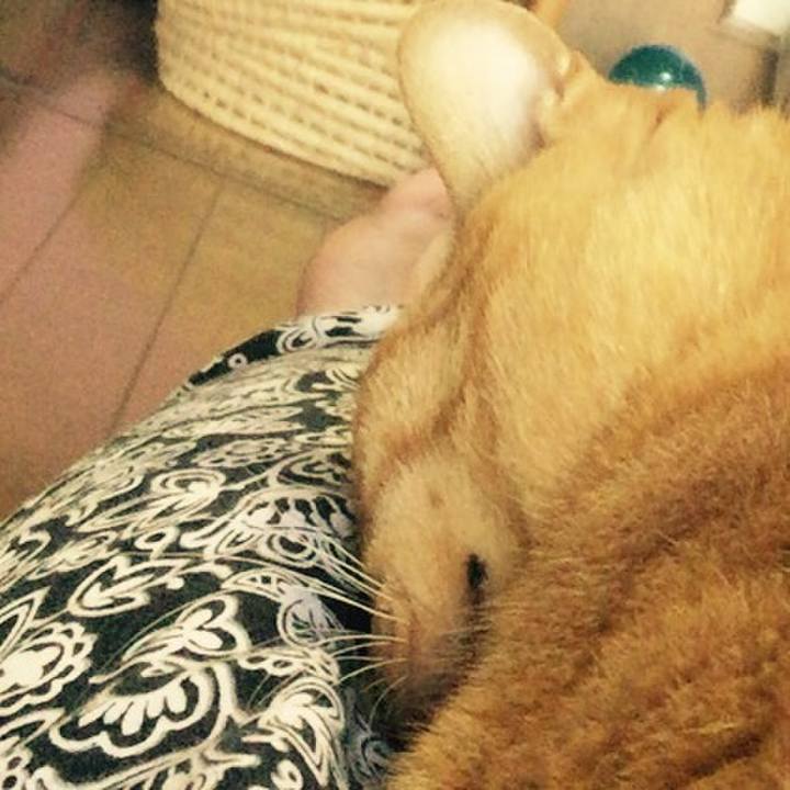 32831d31 1fc0 4e35 ba76 60c2ea8747ef