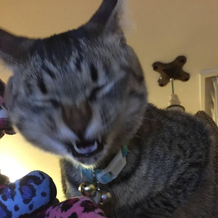 32834308 055a 4aa1 b263 840ebdd3b865