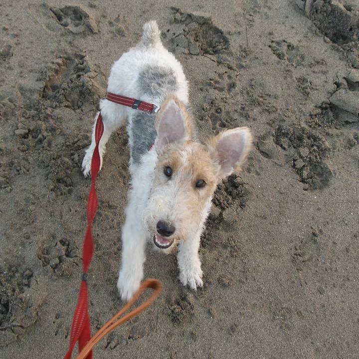 32837272 57b9 480c adc3 67fc9b99adb5