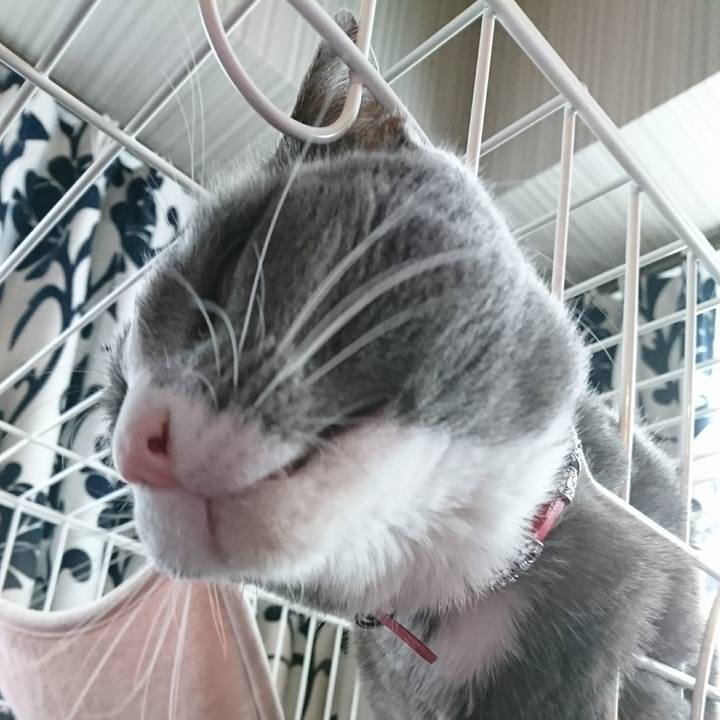 3283942b fc96 465f 8301 e21bb0679d6c