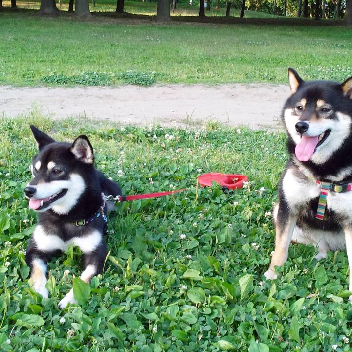 3283d41c 8b13 4d9f 9a8d 9a58382715a2