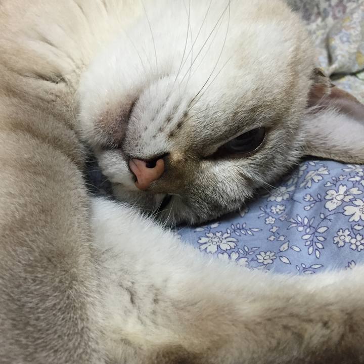 328401ff ace5 4ed9 93bd 23066b856230