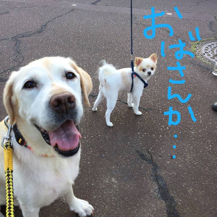 3284419f c2fa 4c98 bf72 17430ff3e0e2