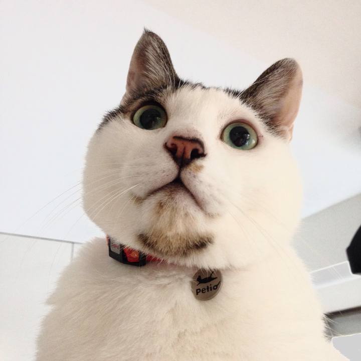 3284c524 ad22 4ee6 944a d1fbf66db8e7