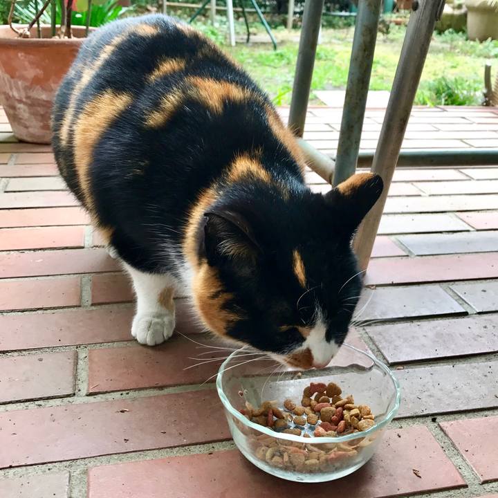 32854bb7 2226 4b7e 9164 cf8a4b6e669d