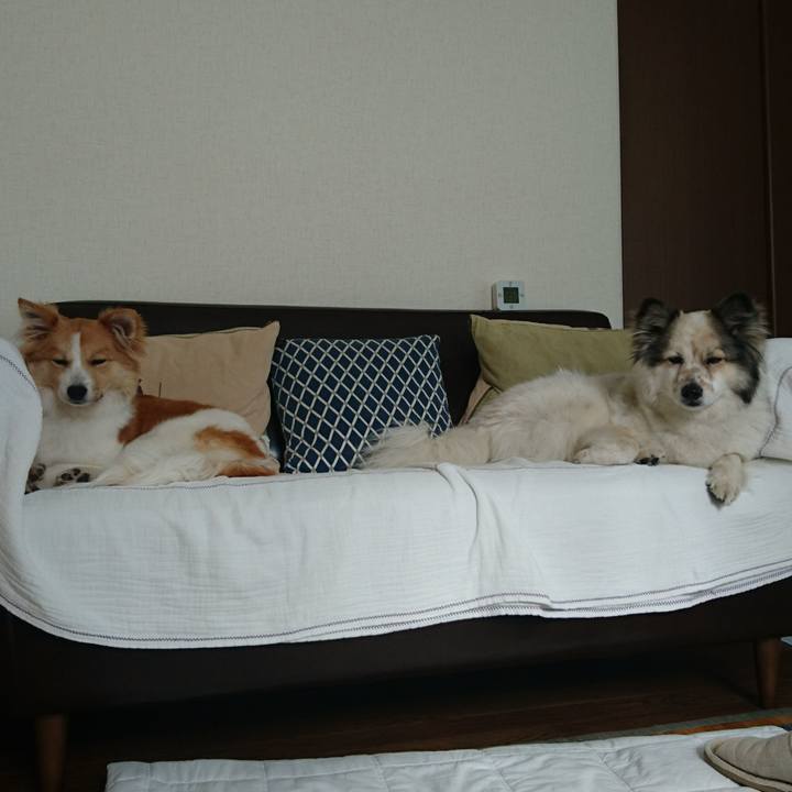 32858201 f6c6 4529 8ecd 998eeef0f4e6