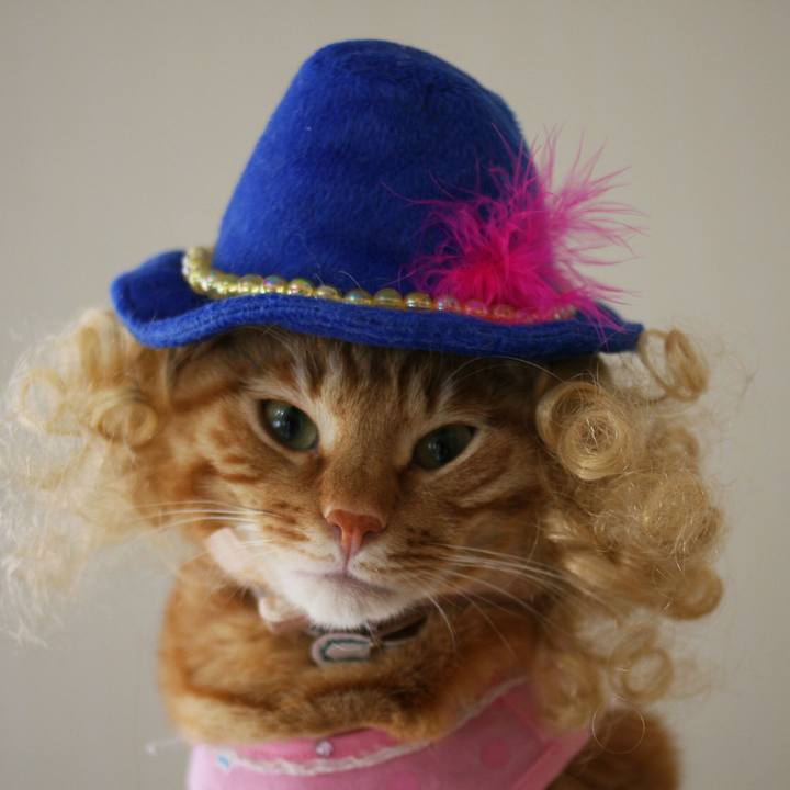 32861772 27a0 4189 9aa2 03a75ef84dea