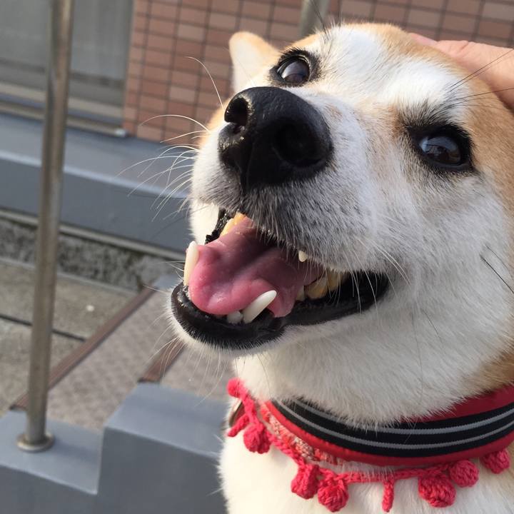 32866d86 c635 432a bd74 c447a5559782