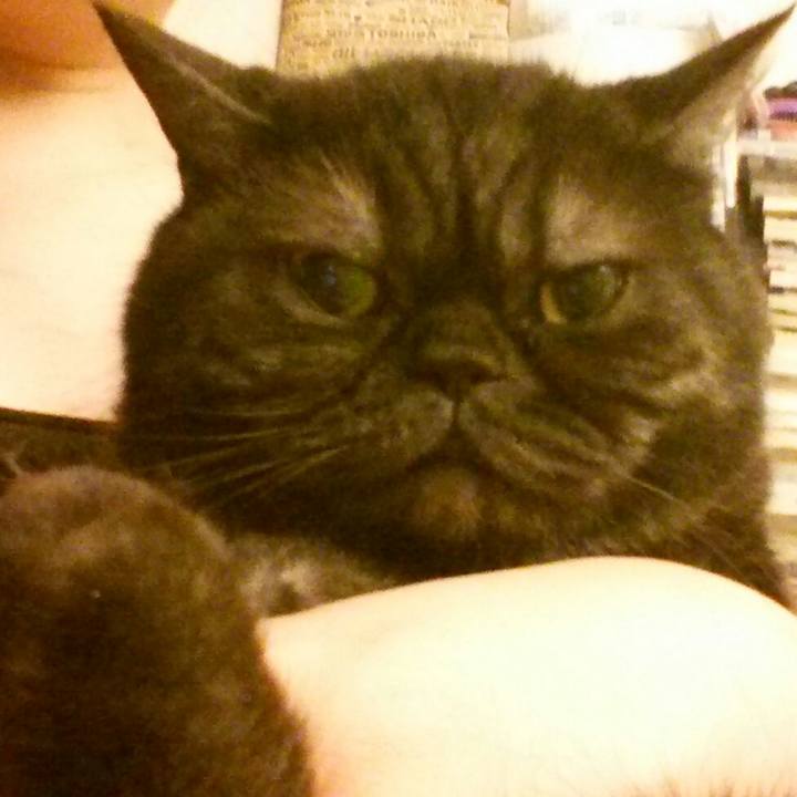 32871503 d418 4caa 84da 6fc5bf54606e