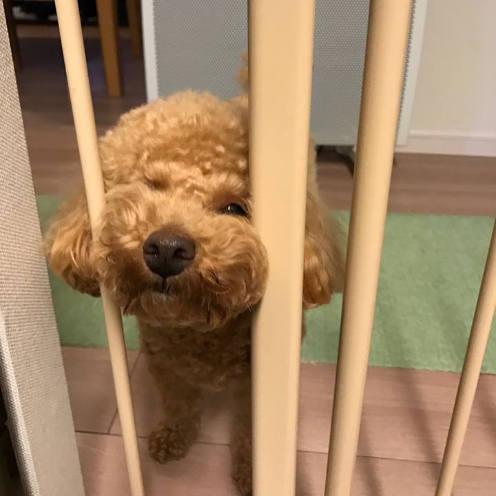 32876f1b 0ea9 4ae1 b309 f940f9462a2e