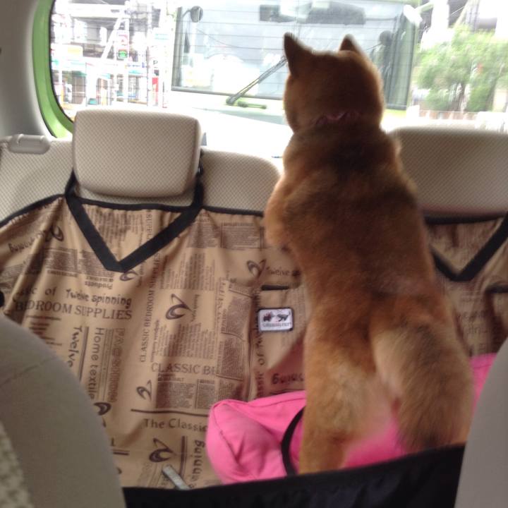 3287f597 6fb5 4764 a8f0 38207042a1c3