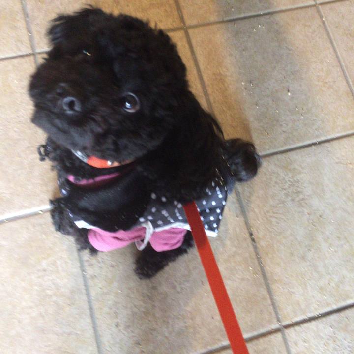 3287f8a9 d5ae 4328 b569 e0869f86f6c8