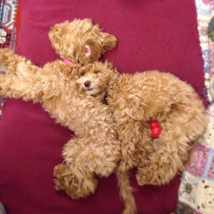 32883405 6e3e 478c b5dd 43e0e333c0d0