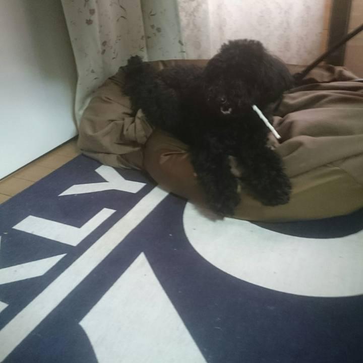 32886081 29b3 49a0 8f0b 83ce5e0192cd