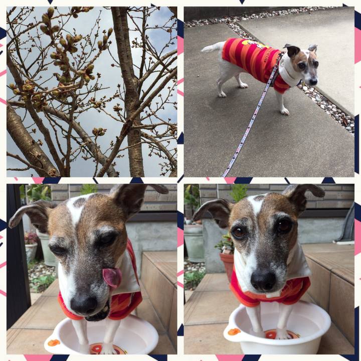 328868f2 4d00 4b58 bd1a fe0573a20482