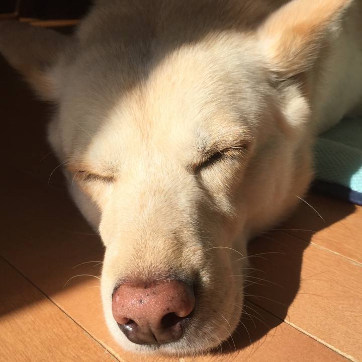 3289fb4b d844 4331 b163 08b14709cc2d