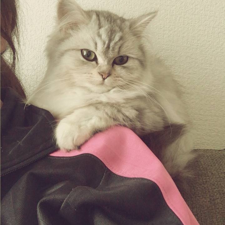 328aace9 6df7 46b2 9926 4cc146c40a9a