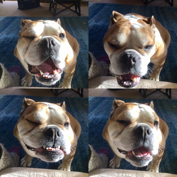 328b0d52 2fed 4f7c aee8 6556600cf1e8