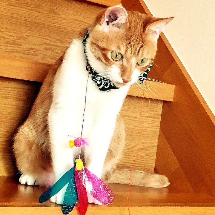 328bc053 d76d 464a bd48 47ea1e286b22