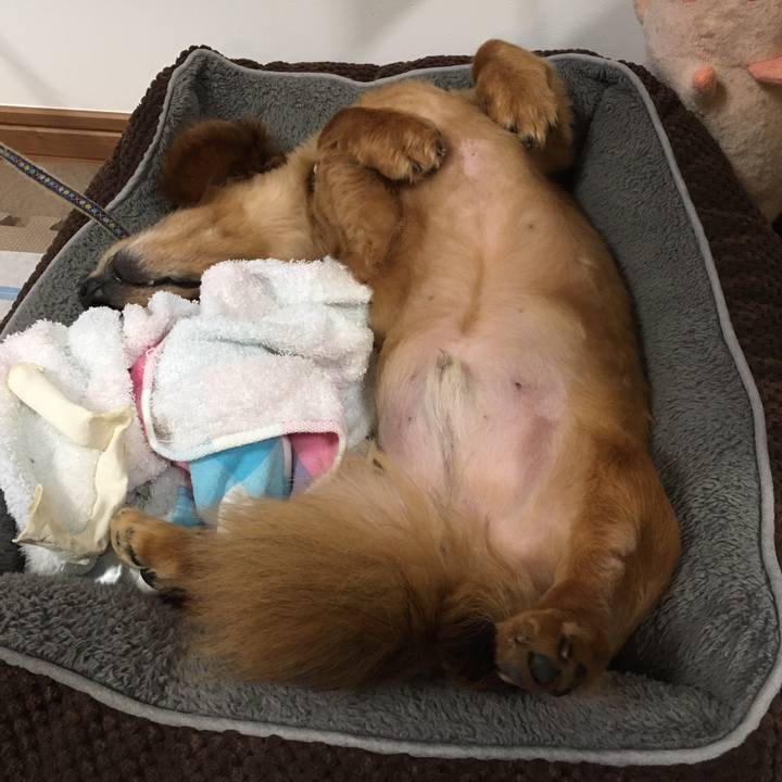 328c9336 513a 44af 981f 42445940131a