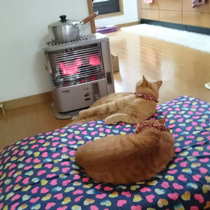 328ca756 a2a5 4e4d 9787 b15fc41dc98d