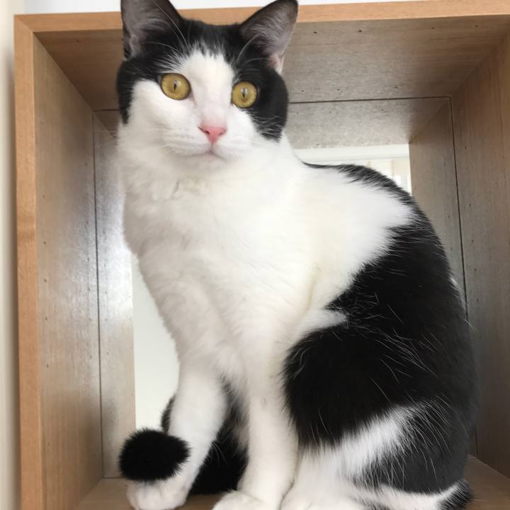 328d828f 42f8 49c7 aab4 7fcacf1209e7