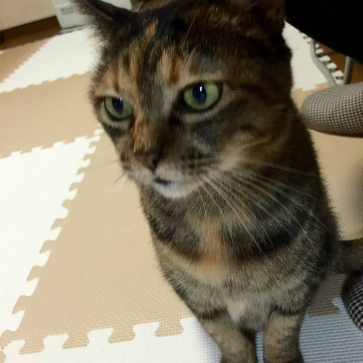 328d8d7d 8b05 49d9 a9fa 432c19e969c2