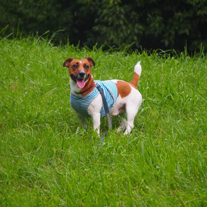 328ecc40 ee60 4dca 8fa6 b2f574729a2d