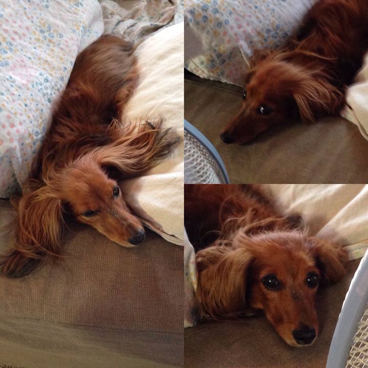 328efd8a 5b97 43f7 b1a0 c4558b3d07c5