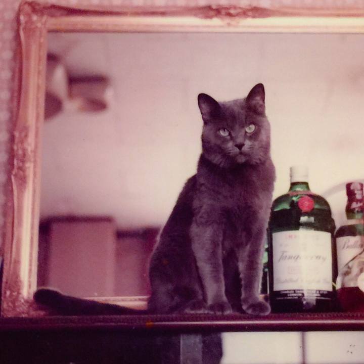 328f0558 2e56 4168 91e9 2b0ac6f2aa54